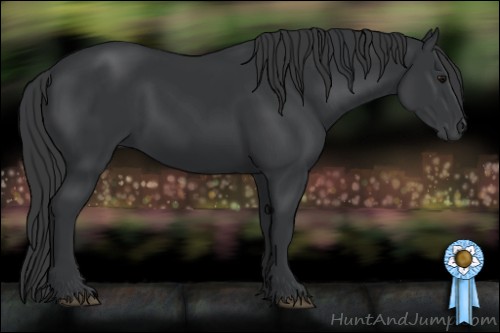 Horse Color:Black Sabino 