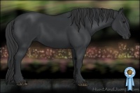 Horse Color:Black Sabino