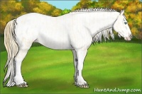 Horse Color:Smoky Blue Roan Pearl Appaloosa  and Smoky Blue Roan Pearl Appaloosa 