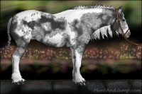 Horse Color:White Spotted Black Splash Tobiano Frame Blanket