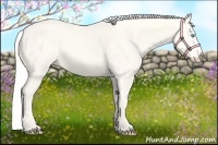 Horse Color:Silver Perlino Dun