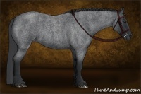 Horse Color:Blue Roan 
