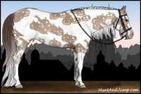 Horse Color:White Spotted Classic Champagne Splash