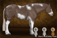 Horse Color:Silver Black Sabino Tobiano Frame Rabicano