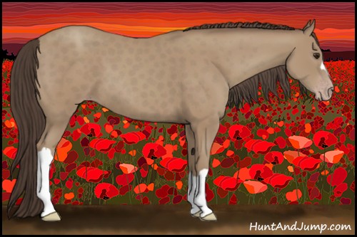 Horse Color:Classic Champagne 