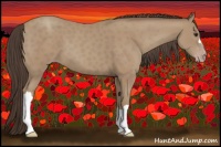 Horse Color:Classic Champagne 