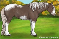 Horse Color:Silver Black Sabino Tobiano Frame Rabicano