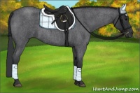 Horse Color:Blue Roan 