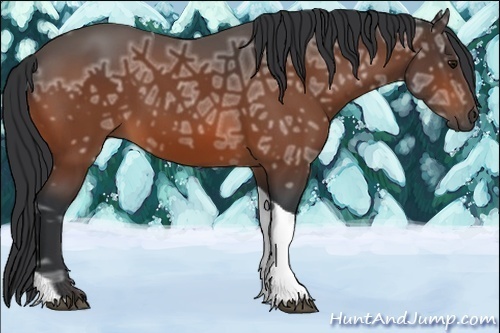 Horse Color:Bay Ice Tobiano 