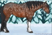 Horse Color:Bay Ice Tobiano 