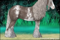 Horse Color:White Spotted Silver Black Splash