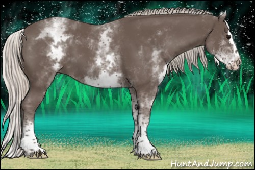 Horse Color:White Spotted Silver Black Splash 