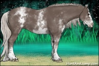 Horse Color:White Spotted Silver Black Splash