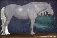 Horse Color:Watercolor Silver Black 
