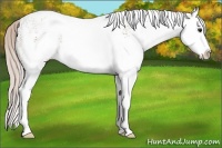 Horse Color:White Spotted Silver Bay Splash 