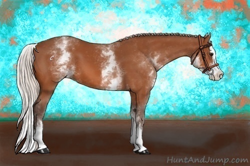 Horse Color:White Spotted Silver Bay Splash