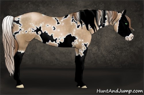 Horse Color:White Spotted Smoky Black Pearl Splash 