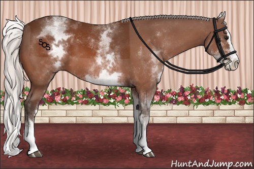 Horse Color:White Spotted Silver Bay Splash 