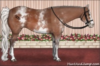 Horse Color:White Spotted Silver Bay Splash 