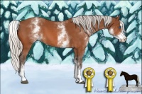 Horse Color:White Spotted Silver Bay Splash 