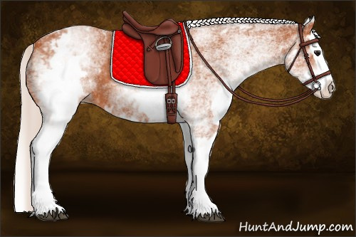 Horse Color:White Spotted Silver Bay Splash 
