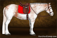 Horse Color:White Spotted Silver Bay Splash 