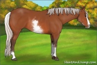 Horse Color:White Spotted Silver Bay Splash