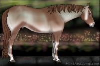 Horse Color:Red Onyx Rabicano