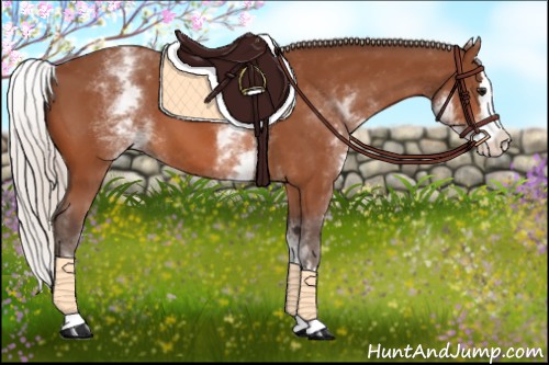 Horse Color:White Spotted Silver Bay Splash
