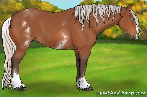 Horse Color:White Spotted Silver Bay Splash 
