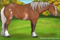 Horse Color:White Spotted Silver Bay Splash