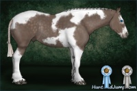 Horse Color:Silver Black Splash Tobiano Frame Rabicano 