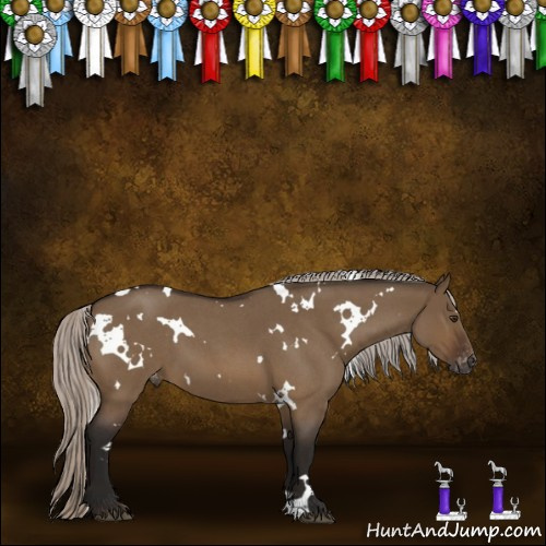 Horse Color:Gray White Spotted Silver Brown Roan Dun Appaloosa 
