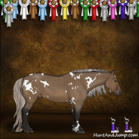 Horse Color:Gray White Spotted Silver Brown Roan Dun Varnish 