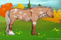 Horse Color:White Spotted Silver Brown Dun