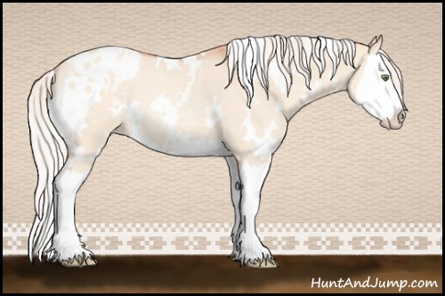 Horse Color:White Spotted Silver Amber Champagne Dun Splash Appaloosa Rabicano 