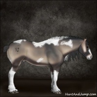 Horse Color:Blue Onyx Tobiano Frame 