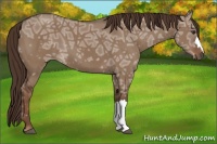 Horse Color:Liver Red Dun Ice 