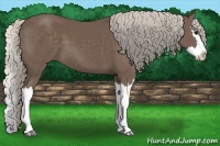 Horse Color:Silver Black Splash 