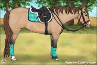 Horse Color:Bay Dun Varnish 