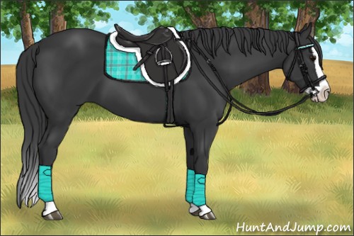 Horse Color:Black Splash