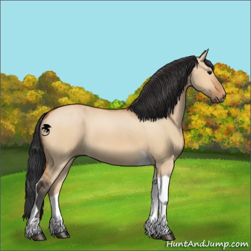 Horse Color:Bay Dun Tobiano 