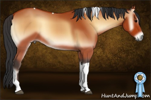 Horse Color:Bay Onyx Tobiano 