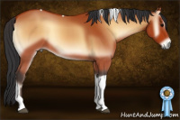 Horse Color:Bay Onyx Tobiano