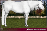 Horse Color:Platinum Silver Grullo Tobiano Near Leopard 