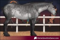 Horse Color:Platinum Buckskin 