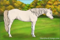 Horse Color:Perlino Tobiano Frame 