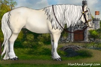 Horse Color:Palomino Pearl Tobiano 