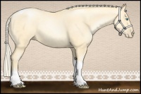 Horse Color:Palomino Pearl Tobiano