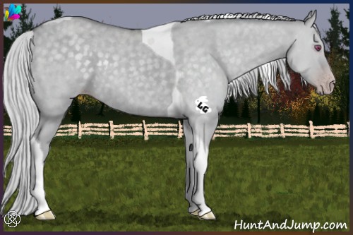 Horse Color:Silver Classic Champagne Chinchilla Dun Tobiano 